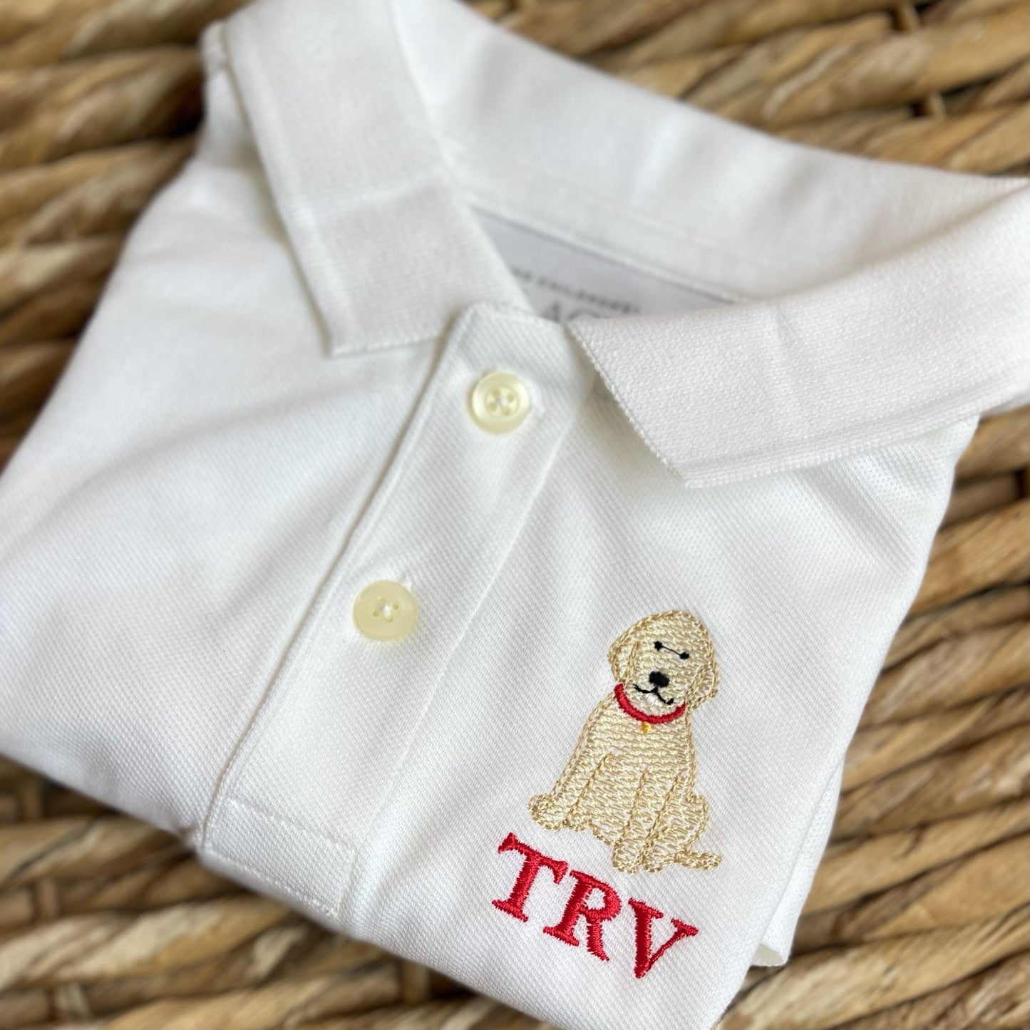 Embroidered Polo Shirt (Youth)