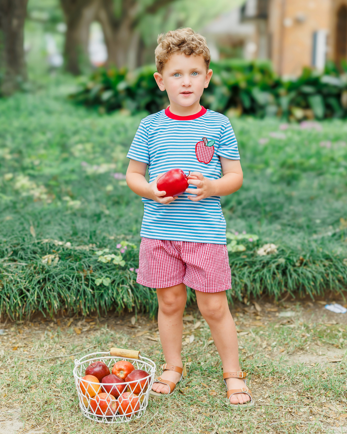 Jellybean Apple Pocket Applique Short Set