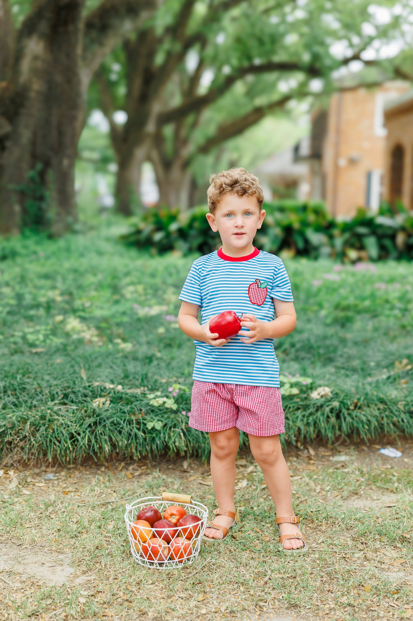 Jellybean Apple Pocket Applique Short Set