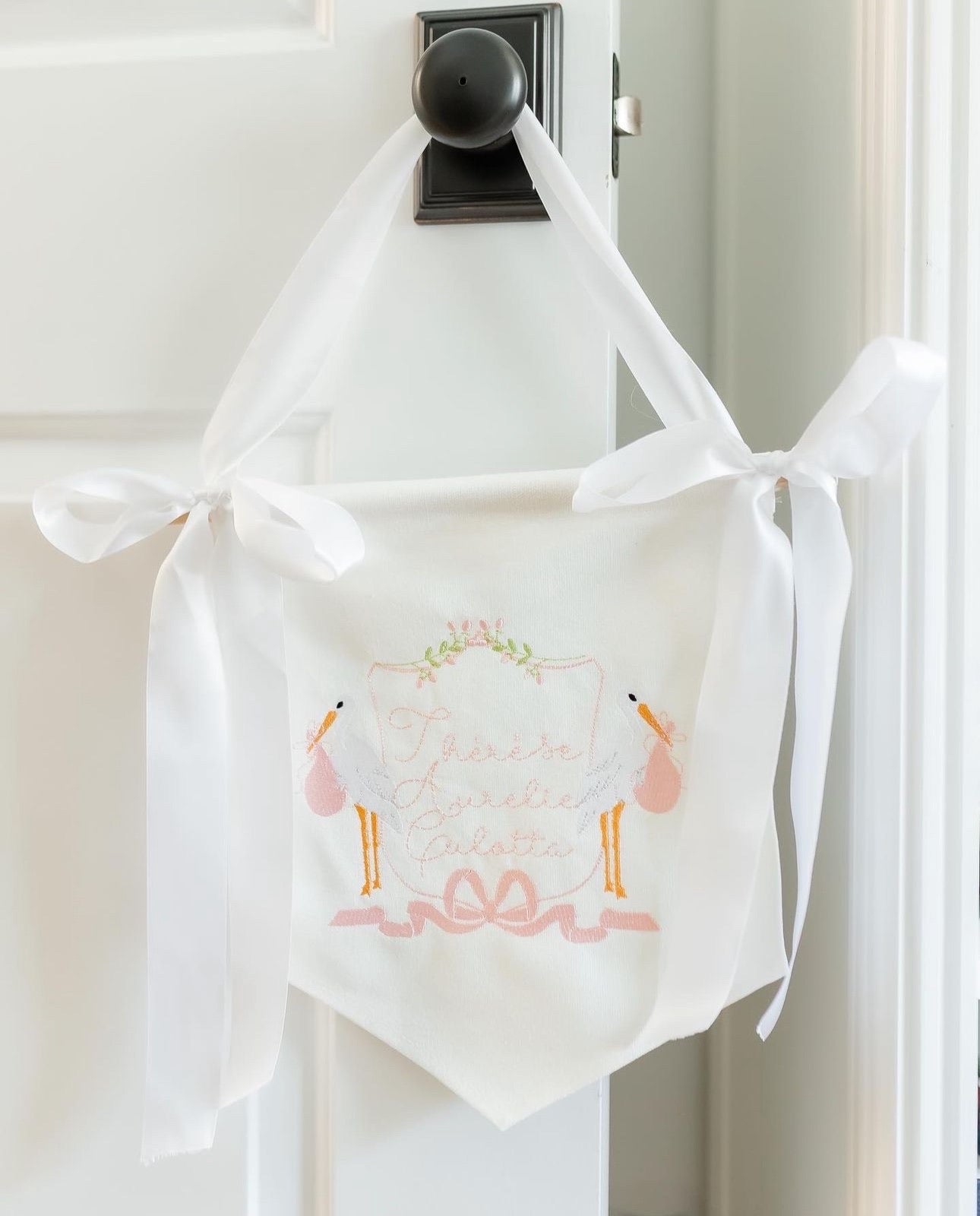 Baby Banner